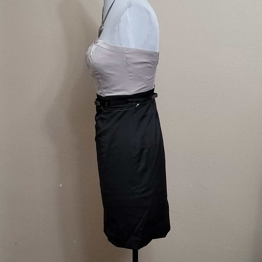 NWT Strapless Dress - Picture 5 of 10